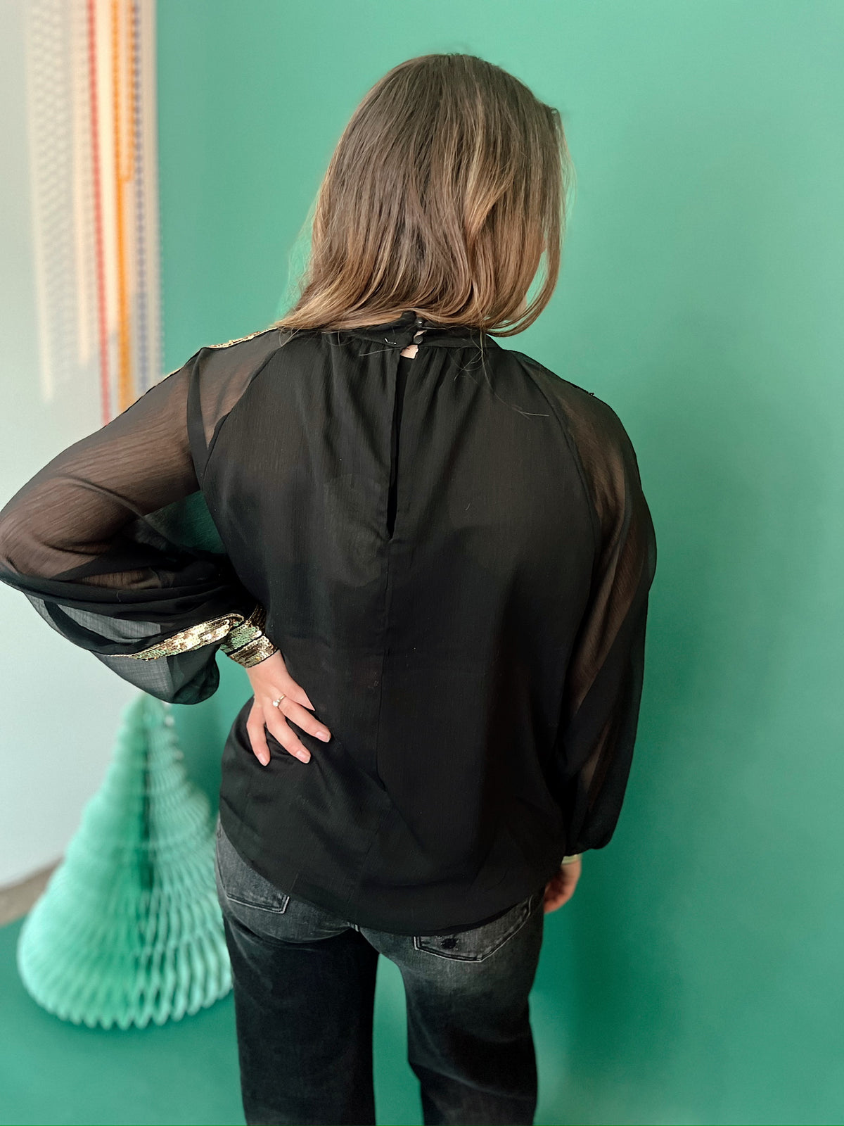 Isabella Raglan Sequin Chiffon Top Black