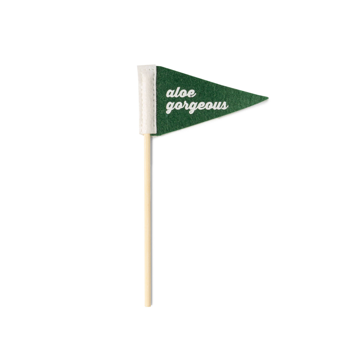 Seed &amp; Sprout Rooting For You Plant Pennants