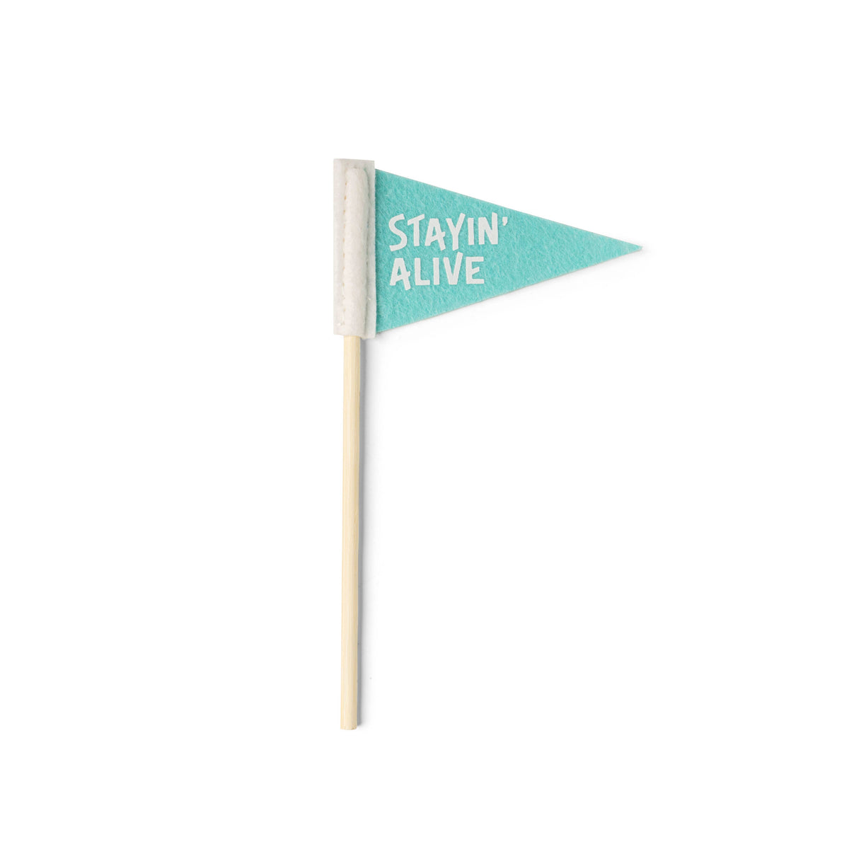 Seed &amp; Sprout Rooting For You Plant Pennants