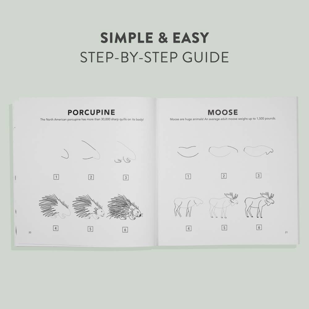 How To Draw Mushrooms