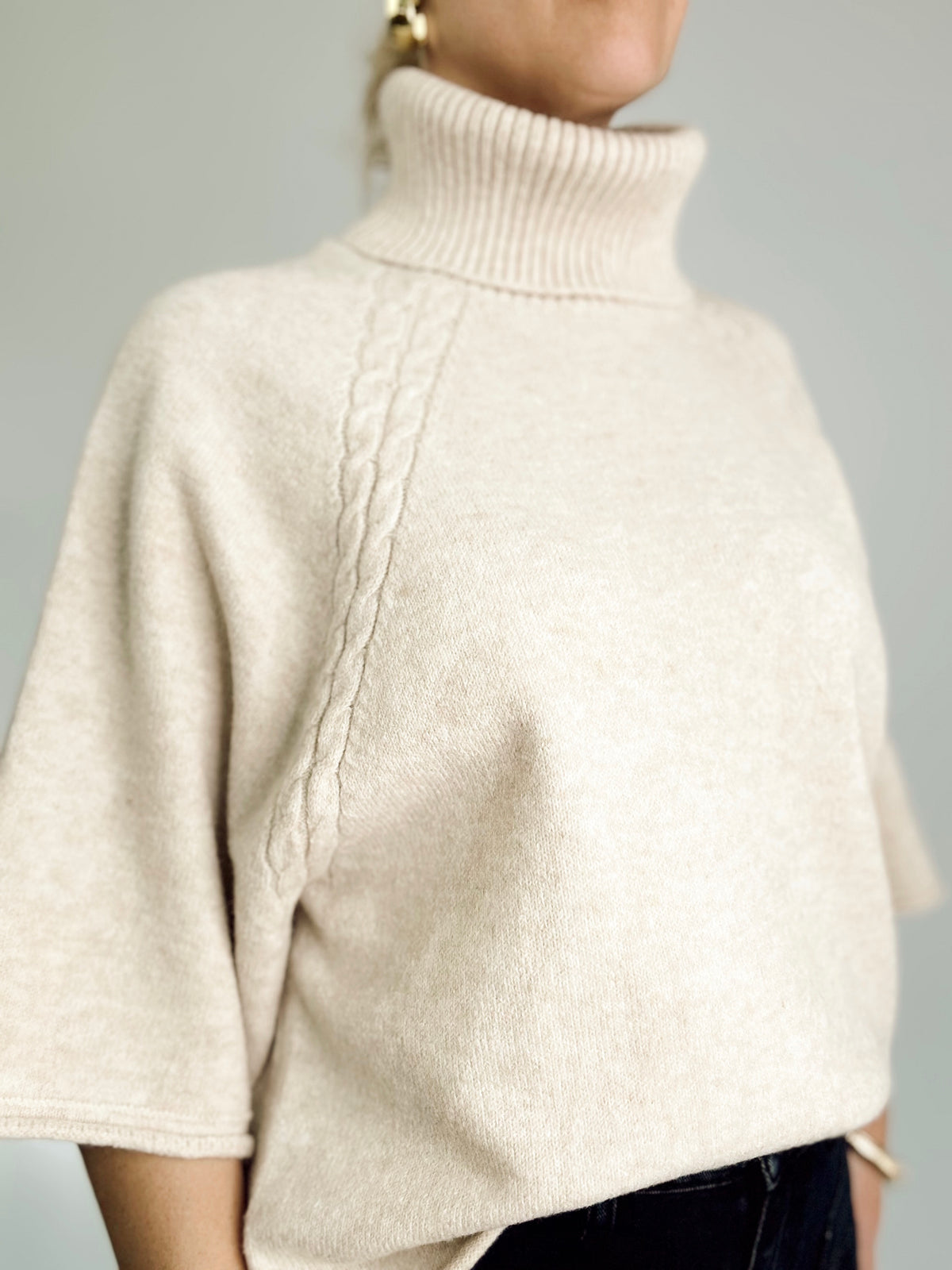 Isabel Turtle Neck Sweater