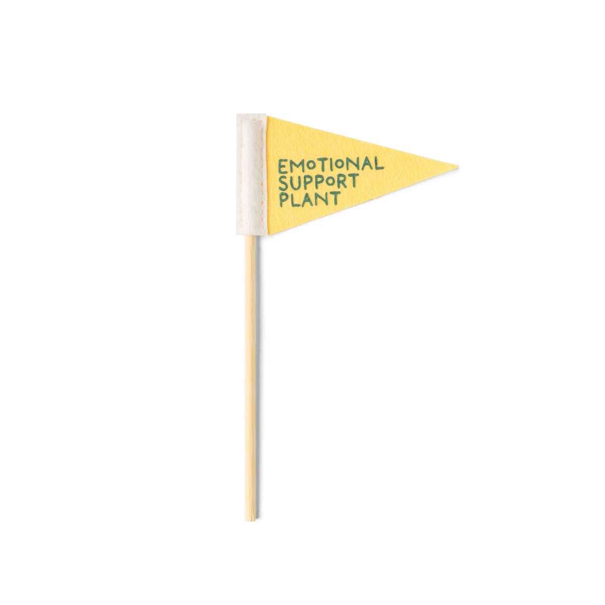 Seed &amp; Sprout Rooting For You Plant Pennants