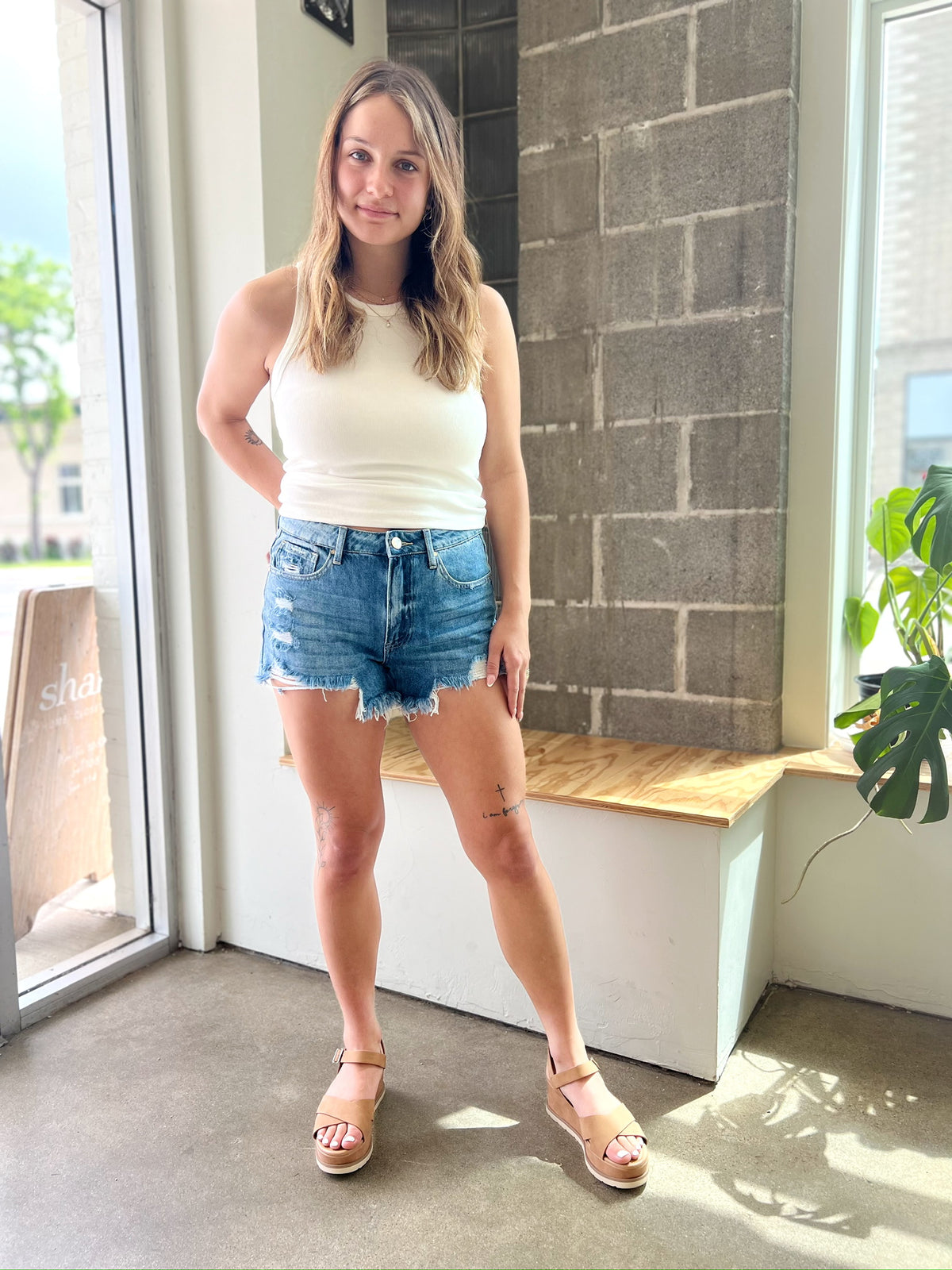 Midge Distressed Denim Shorts