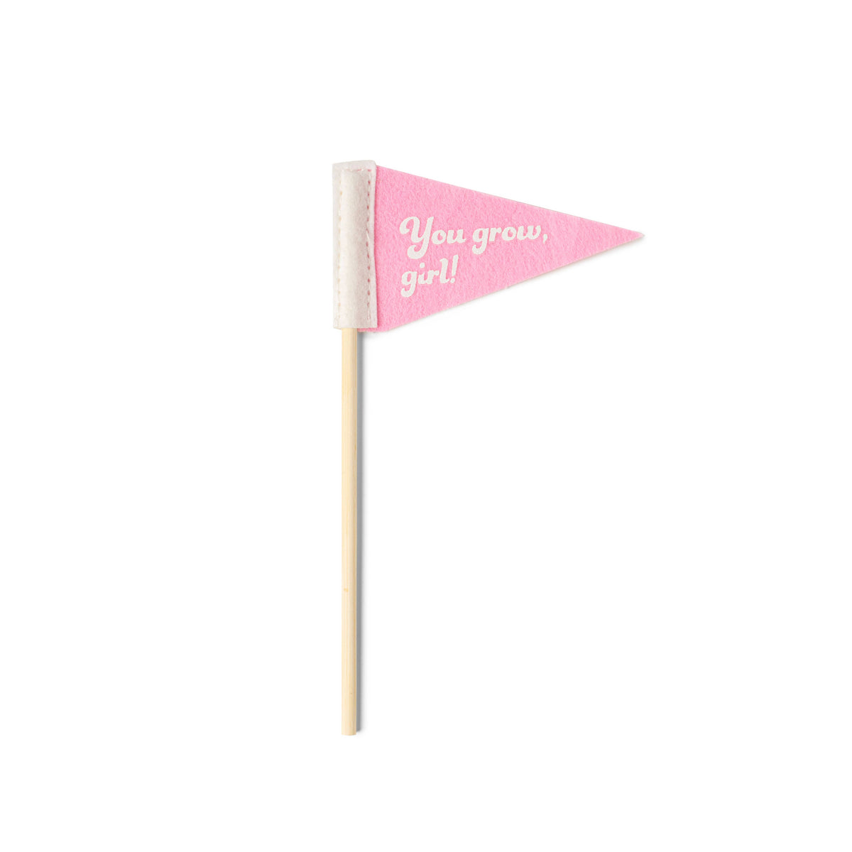 Seed &amp; Sprout Rooting For You Plant Pennants