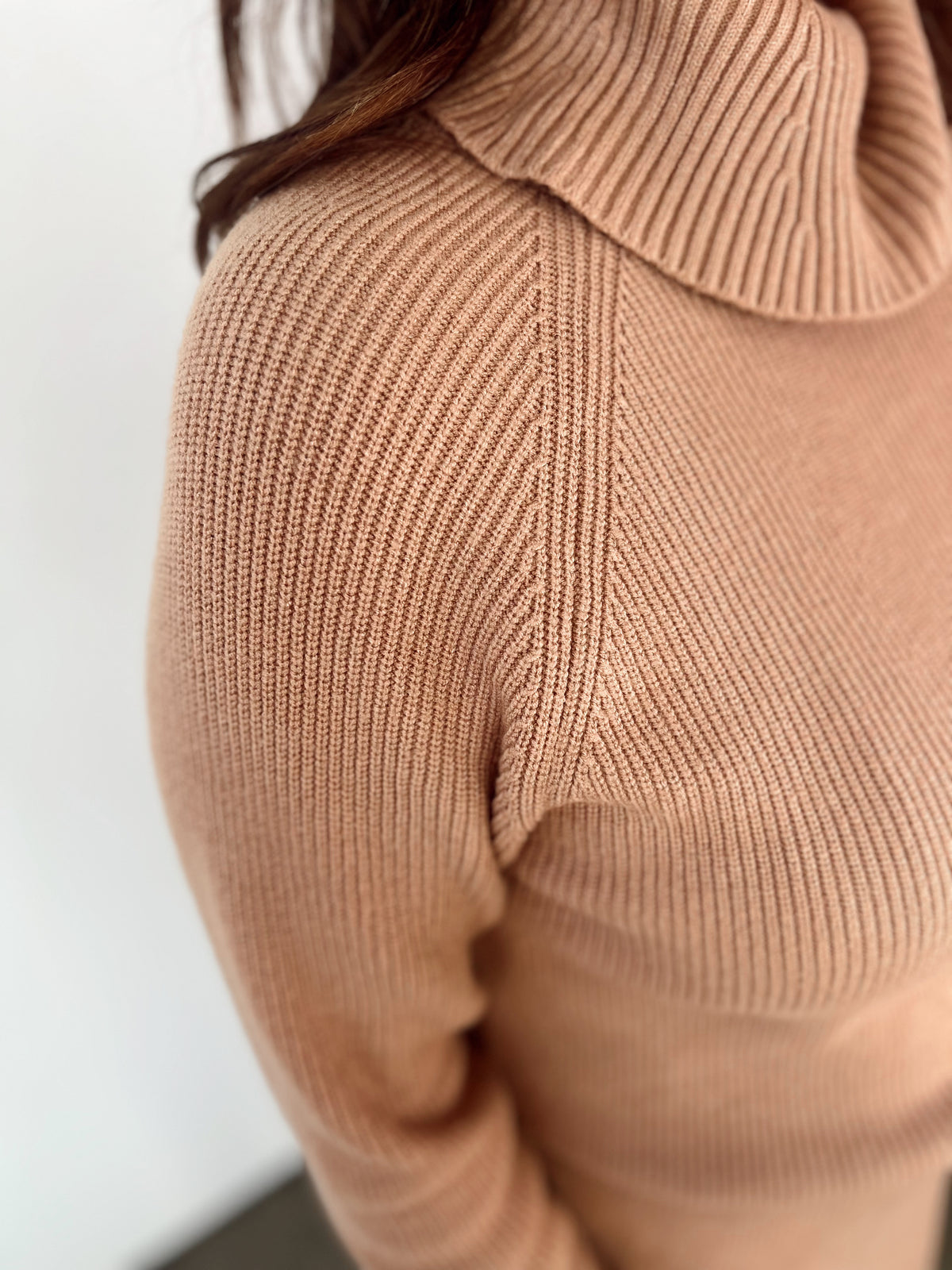 Tanya Turtle Neck Sweater Dress