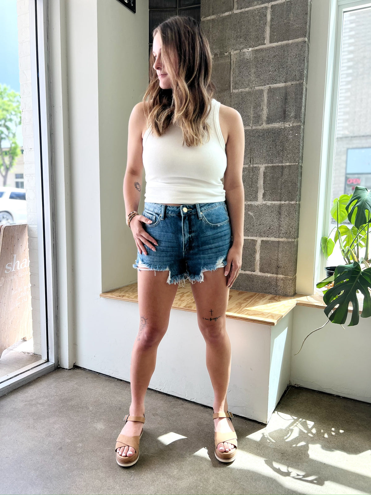 Midge Distressed Denim Shorts