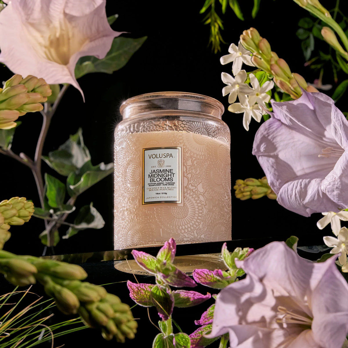 Jasmine Midnight Blooms Large Jar 18oz.