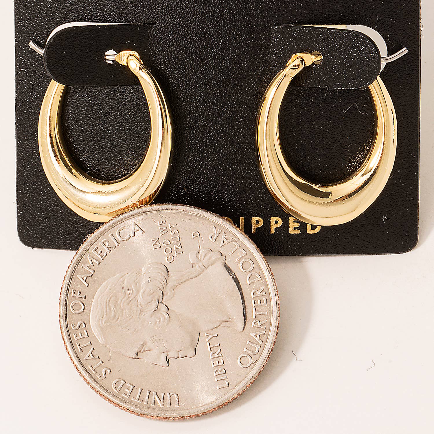 Gold Dipped Mini Oval Pincatch Hoop Earrings