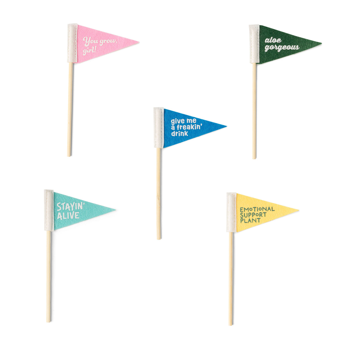 Seed &amp; Sprout Rooting For You Plant Pennants