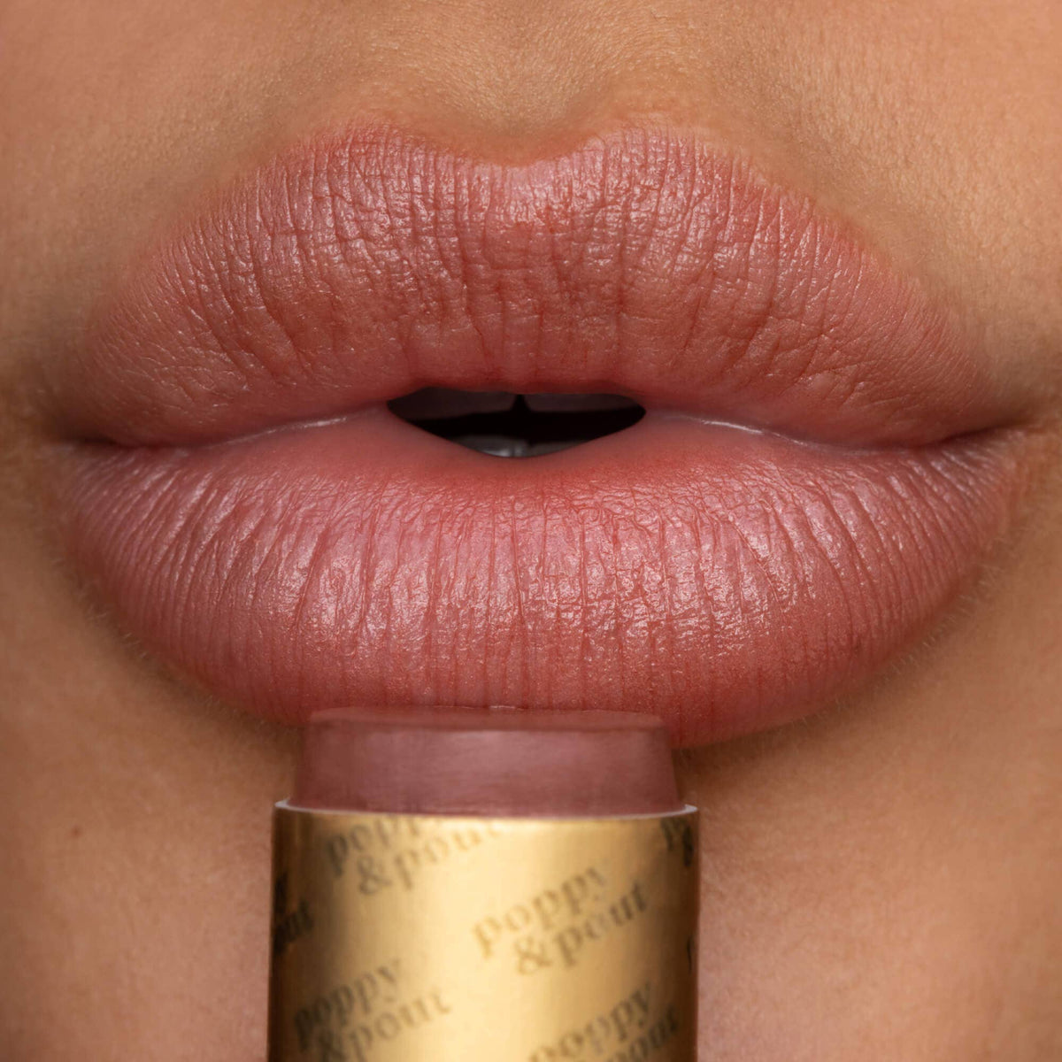 P&amp;P Lip Tint-Debbie