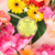 Coconut Verbena Daisy Spongette  