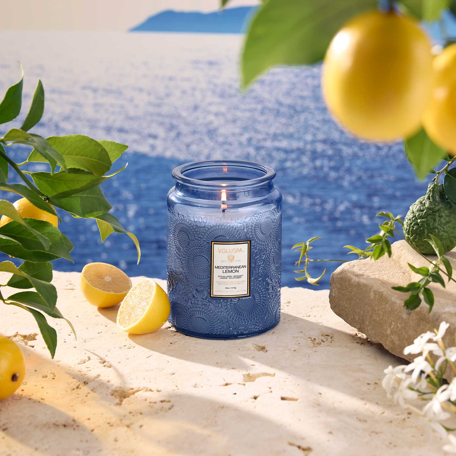 Mediterranean Lemon Large Jar 18 oz.